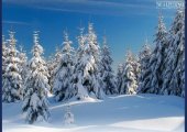 location saisonnieres particuliers