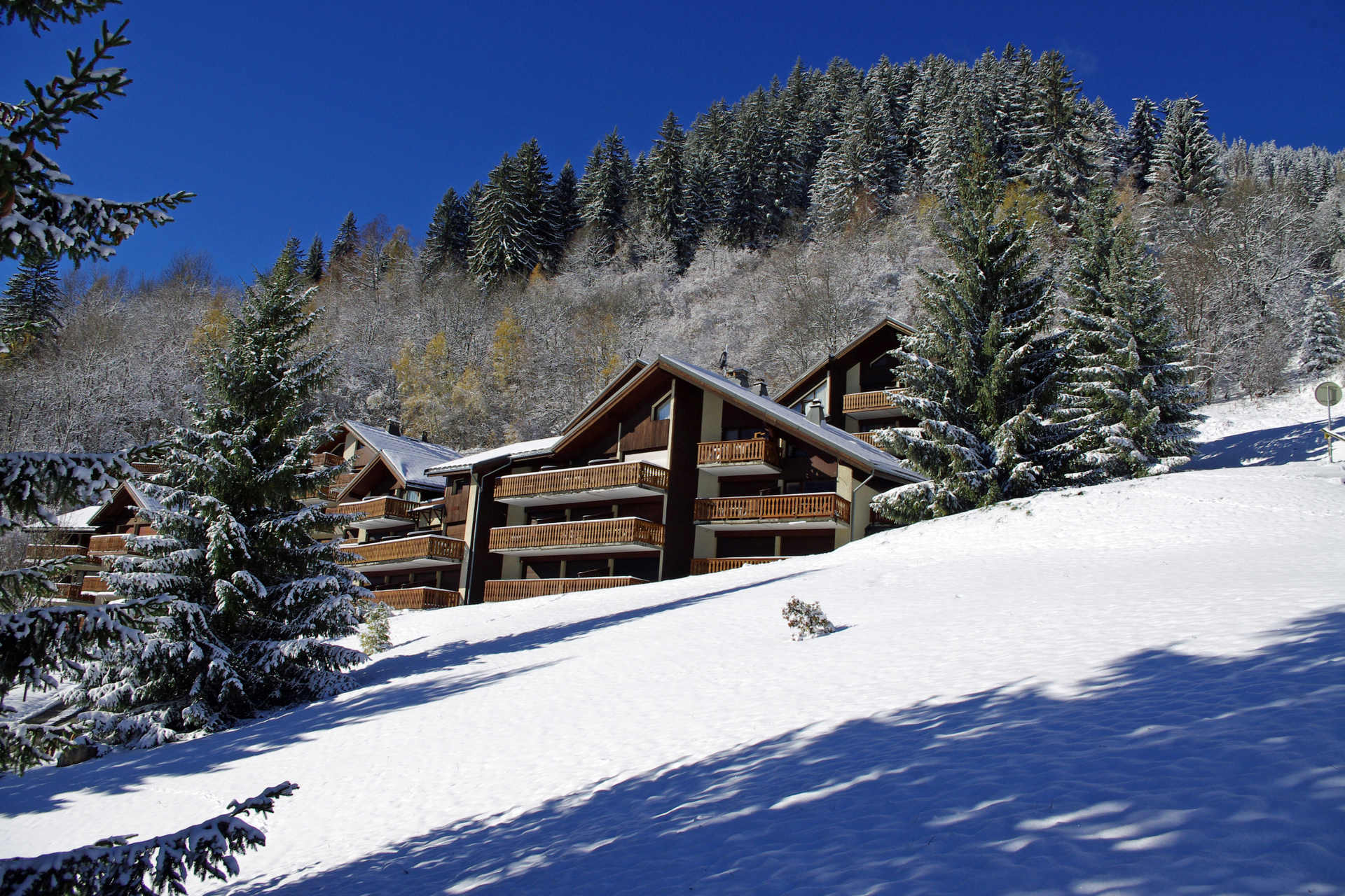 Ancolie - Hauts De Planchamp