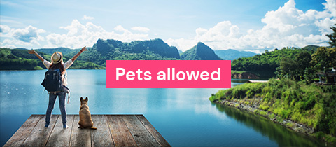 Pets Allowed