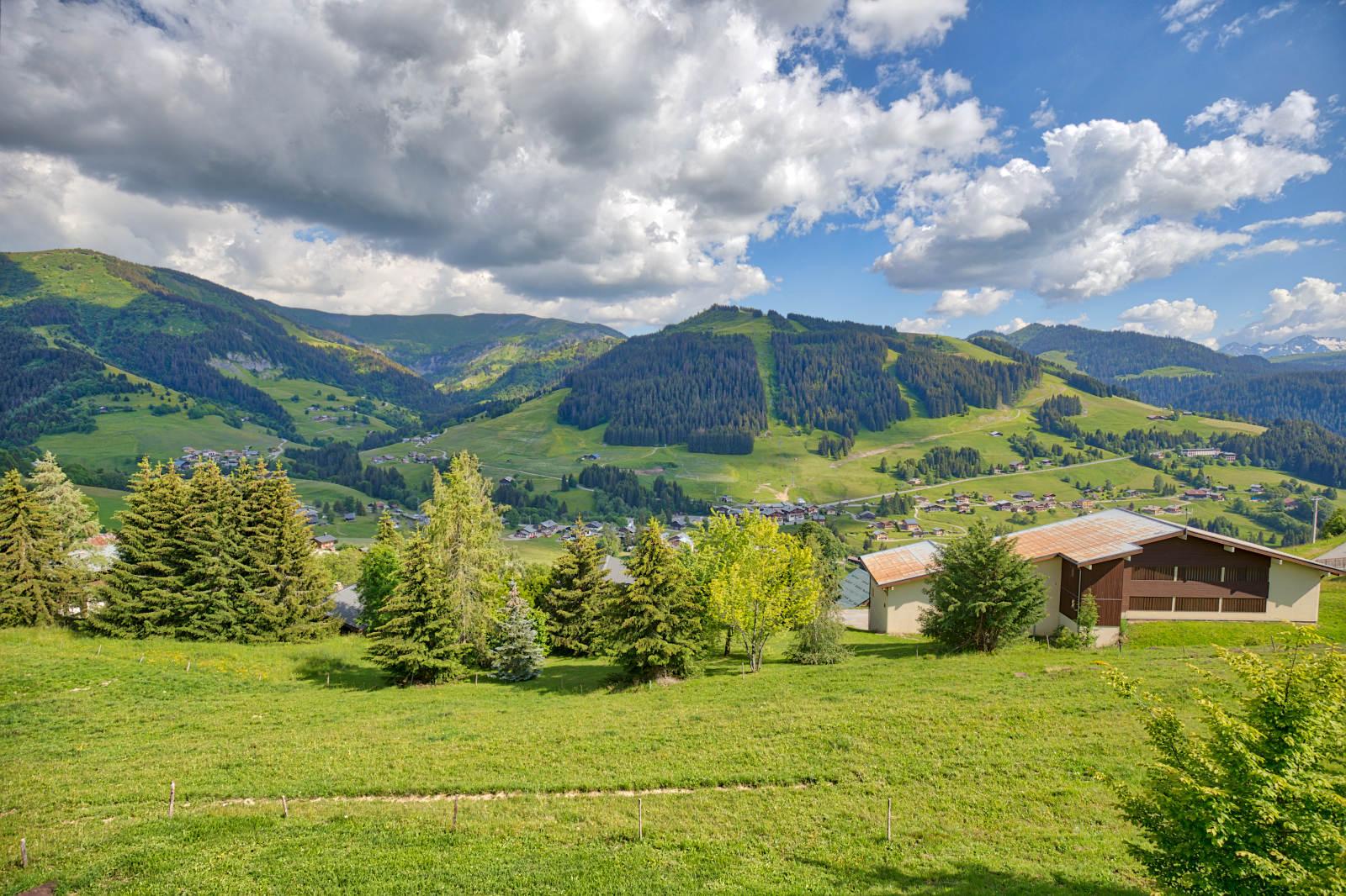 location-chalet-Notre-Dame-de-Bellecombe-1450-7-personnes-2123-4-Alpissime