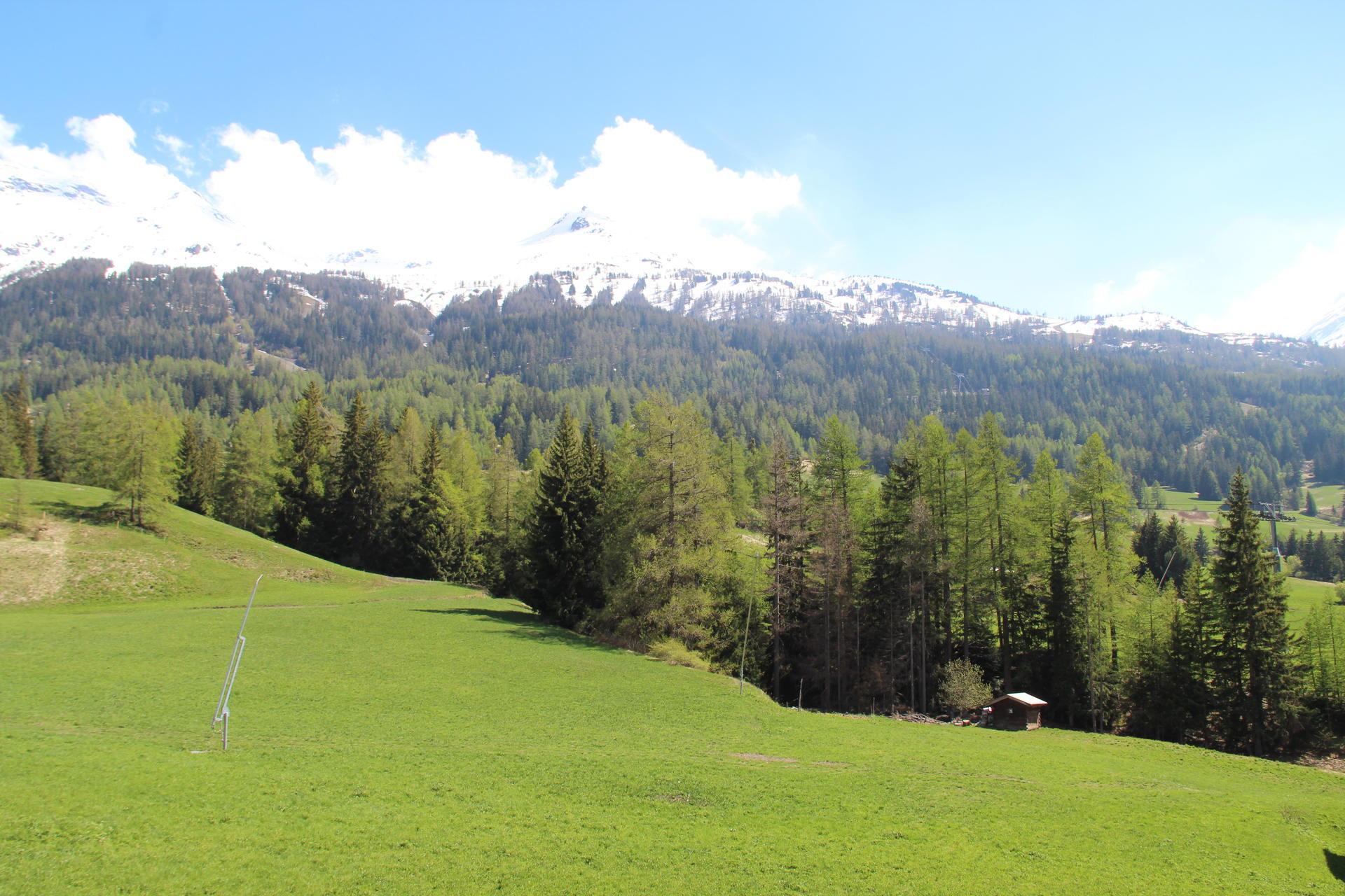 location-appartement-Lans-Le-Villard-4-personnes-2633-4-Alpissime location-appartement-Lans-Le-Villard-4-personnes-2633-4-Alpissime
