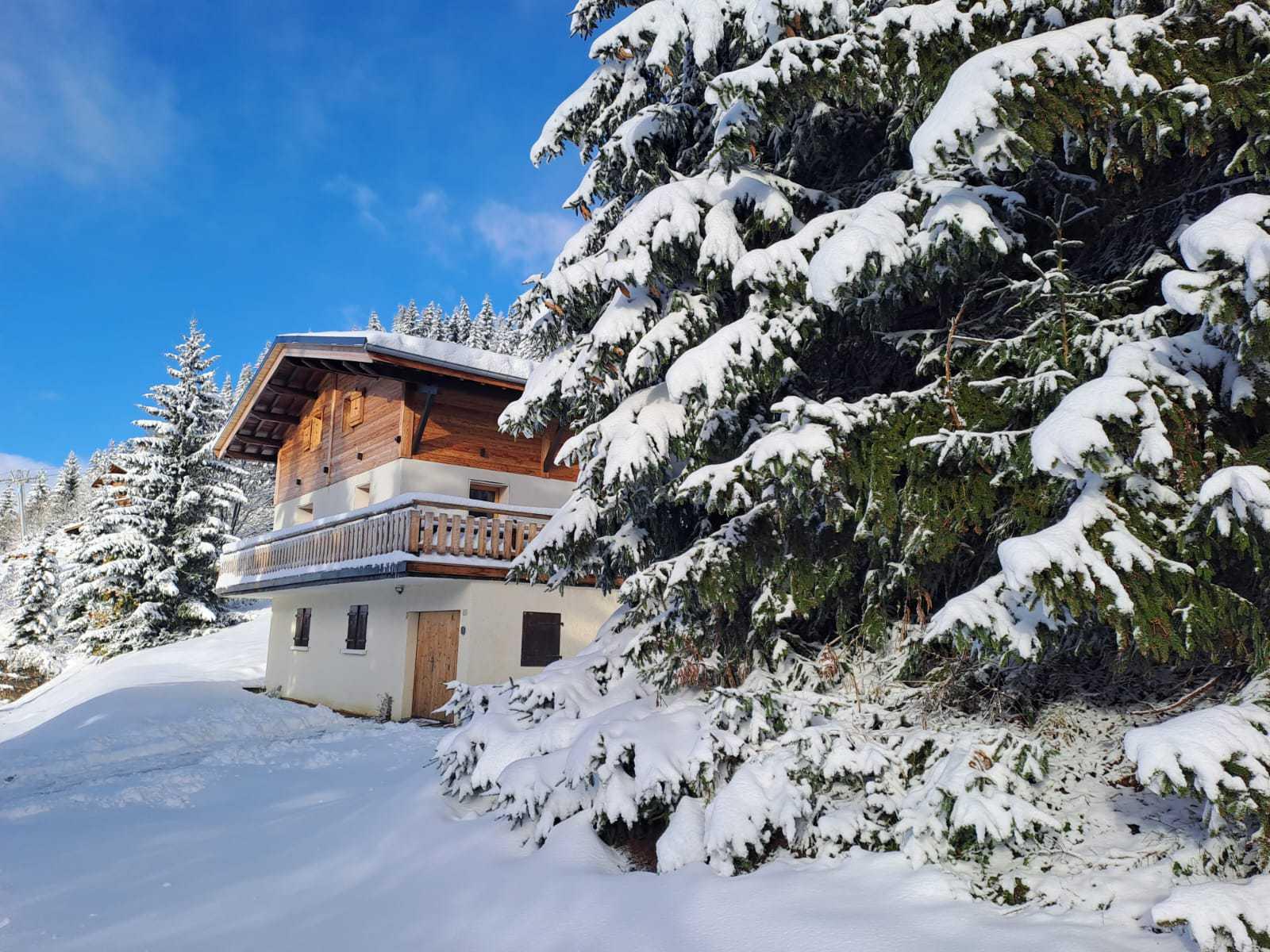 location-chalet-Notre-Dame-de-Bellecombe-10-personnes-3230-5-Alpissime