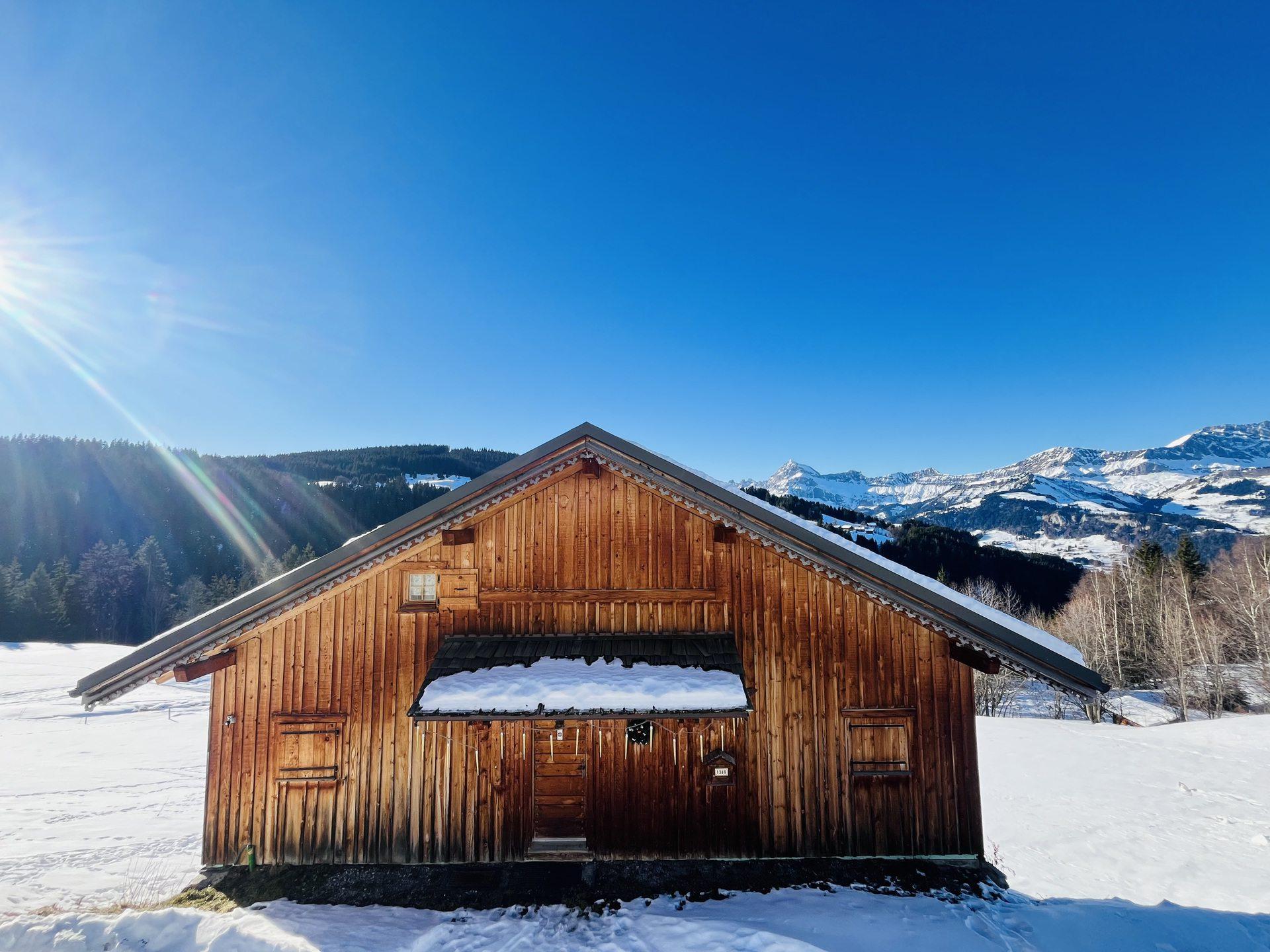 Image 1 Annonce 3322