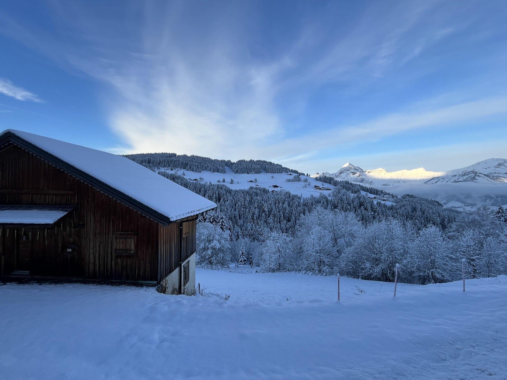 Image 4 Annonce 3322