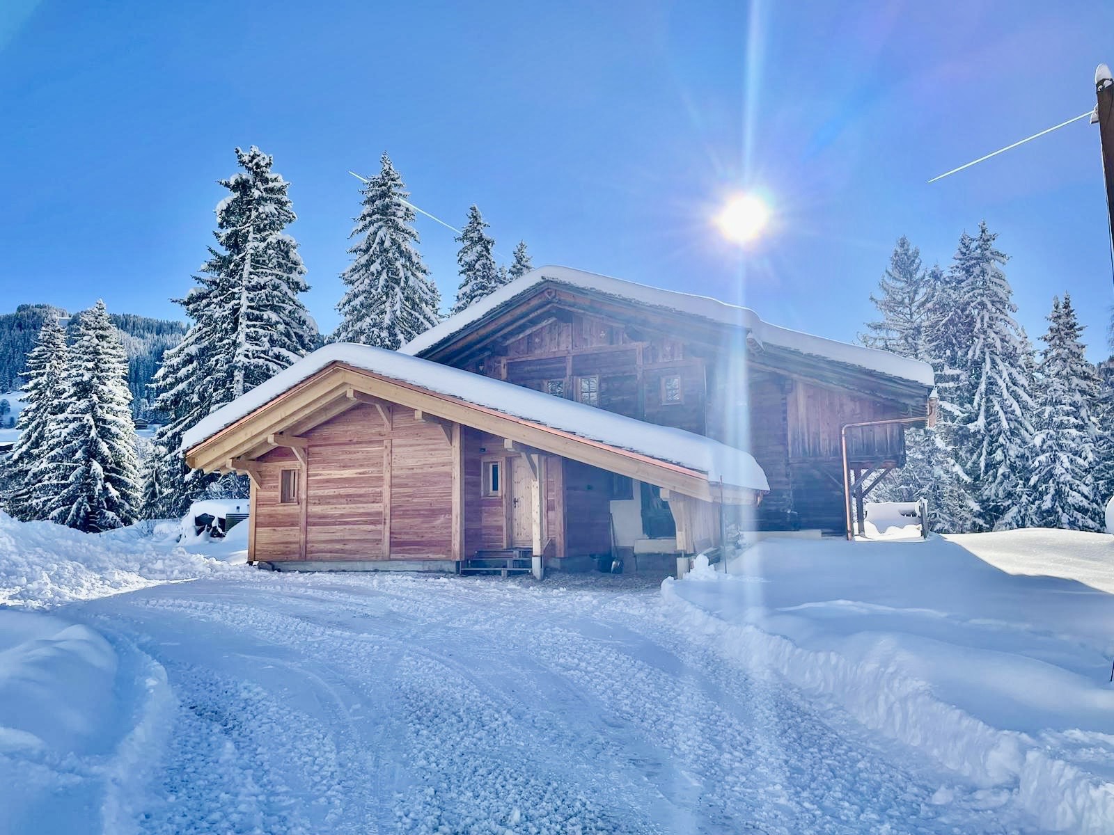 location-chalet-Notre-Dame-de-Bellecombe-8-personnes-3345-1-Alpissime location-chalet-Notre-Dame-de-Bellecombe-8-personnes-3345-1-Alpissime