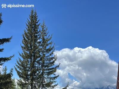 Image 1 Annonce 3465