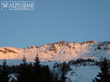 Image 1 Annonce 96